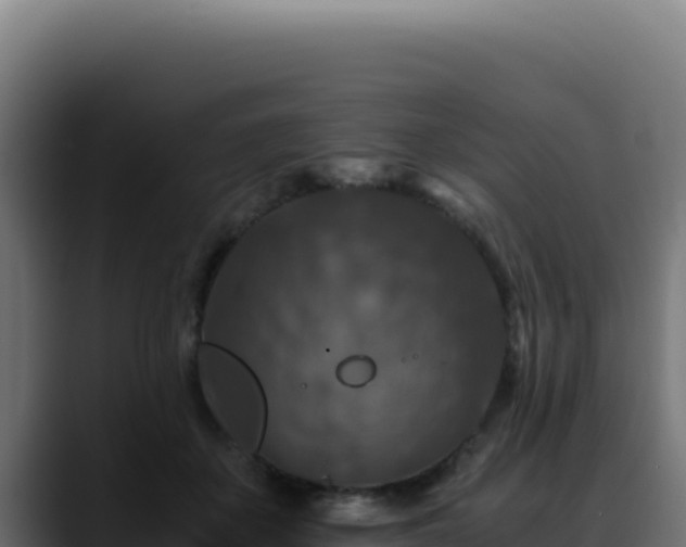 X0000088400507200705291431