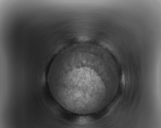 X0000088400508200705291431