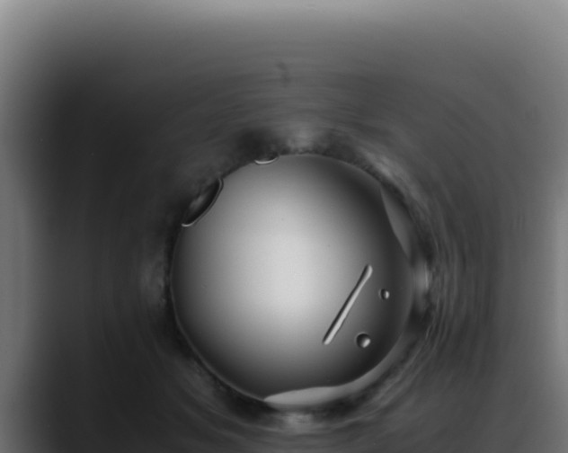 X0000088400509200705291431