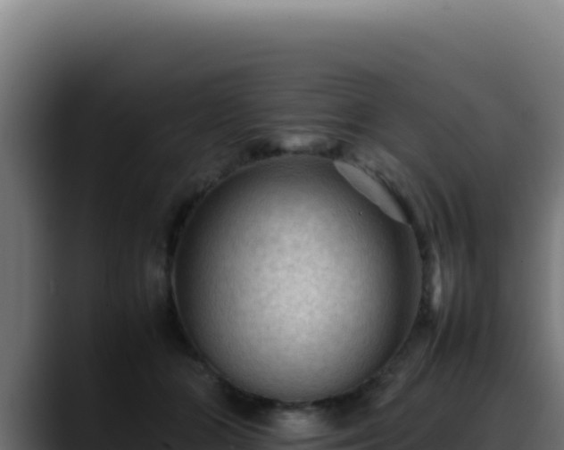 X0000088400510200705291431