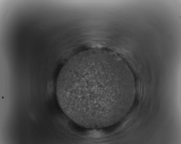 X0000088400511200705291431