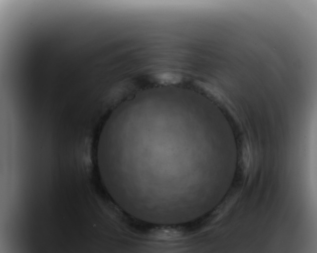 X0000088400512200705291431