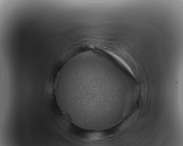 X0000088400513200705291431