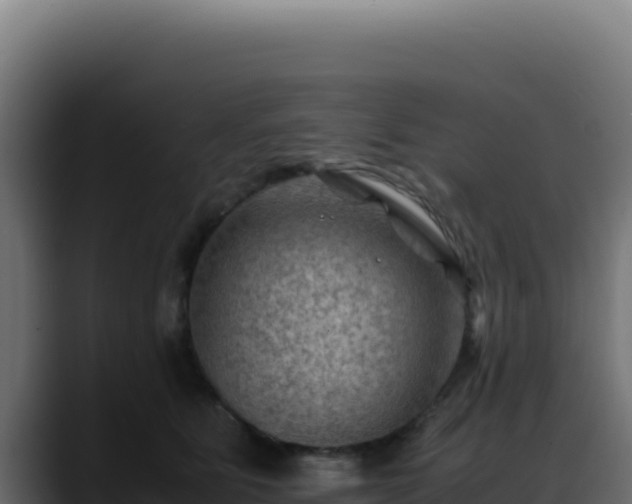 X0000088400515200705291431