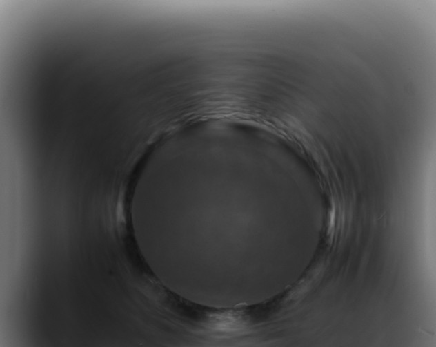 X0000088400516200705291431