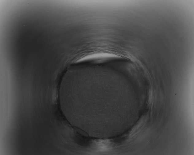 X0000088400517200705291431