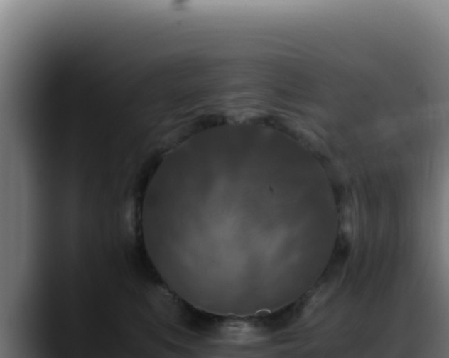 X0000088400519200705291431