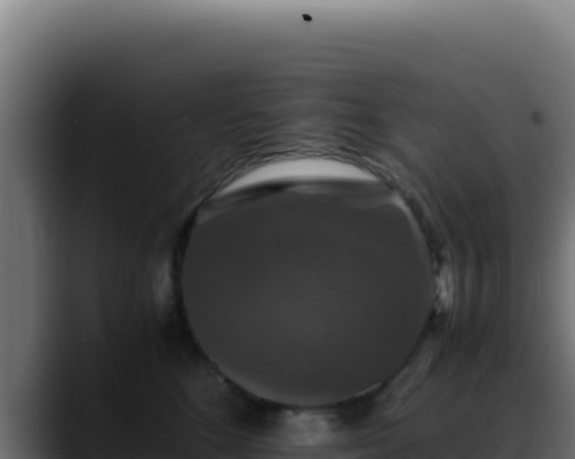 X0000088400520200705291431