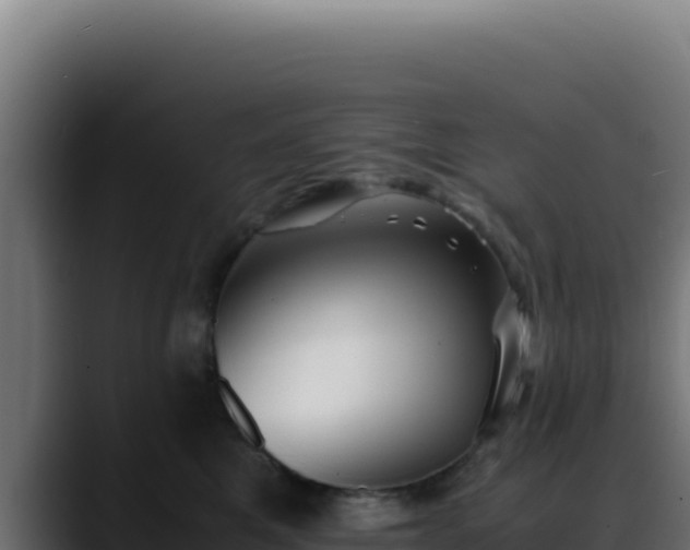 X0000088400521200705291431