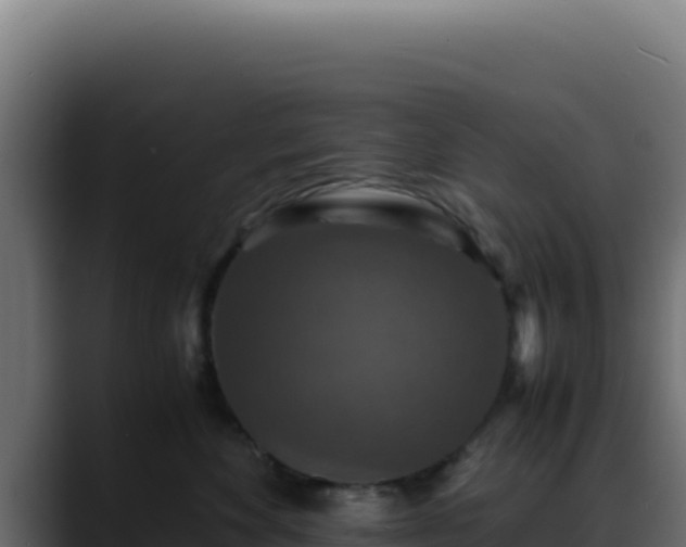 X0000088400524200705291431