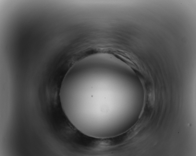 X0000088400525200705291431