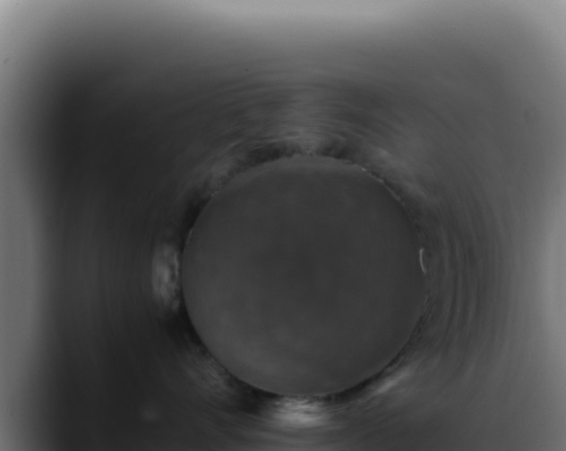 X0000088400528200705291431