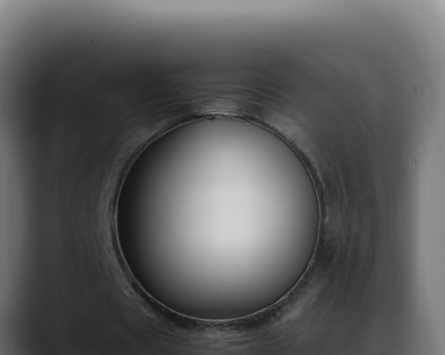 X0000088400529200705291430