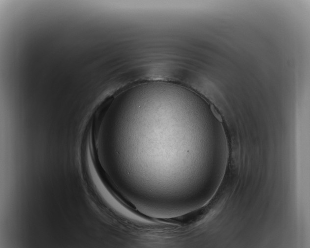 X0000088400530200705291430