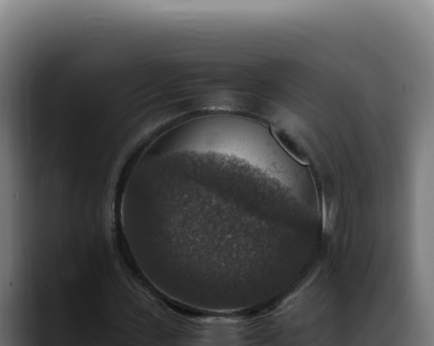 X0000088400531200705291431