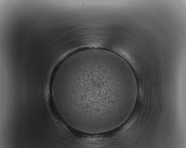 X0000088400532200705291431