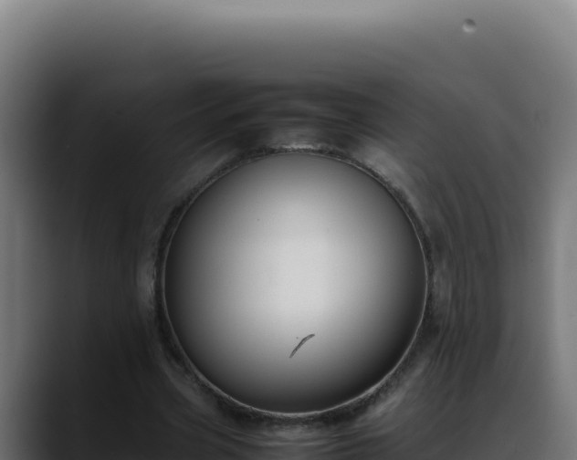 X0000088400533200705291431