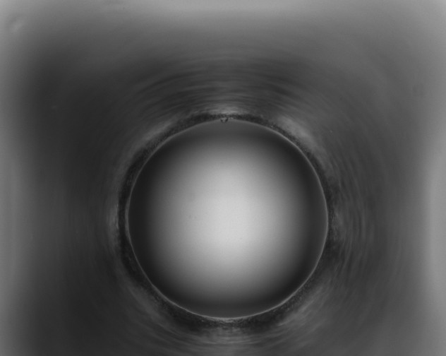 X0000088400535200705291431