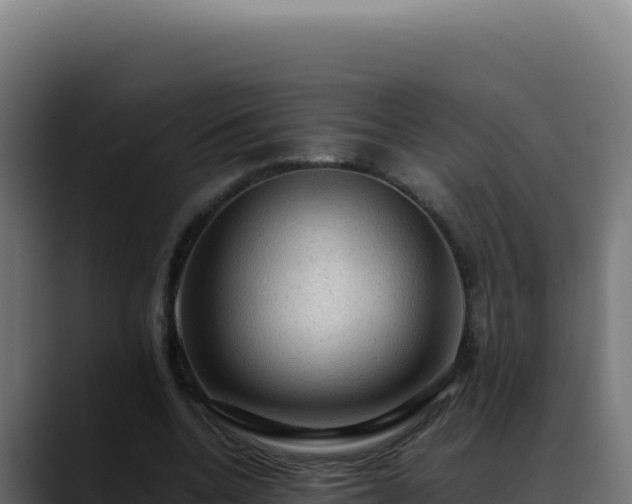 X0000088400536200705291431