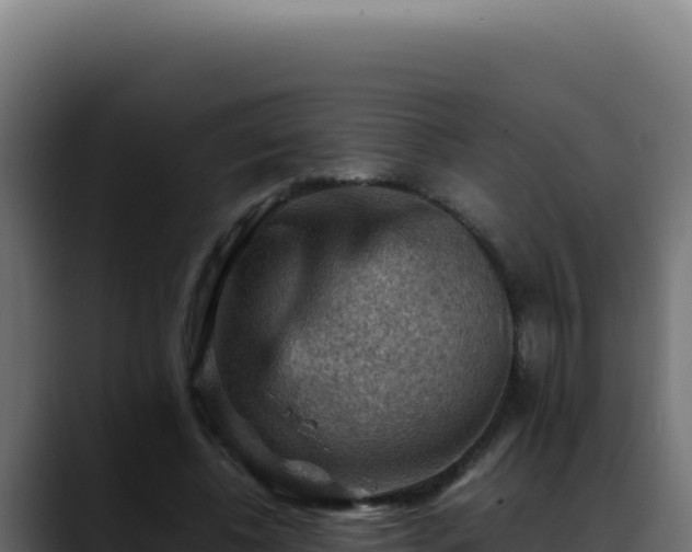 X0000088400540200705291431