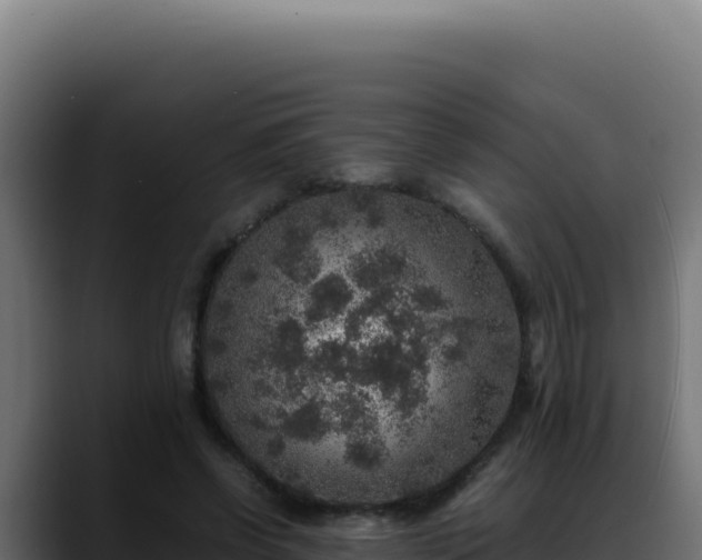 X0000088400542200705291431