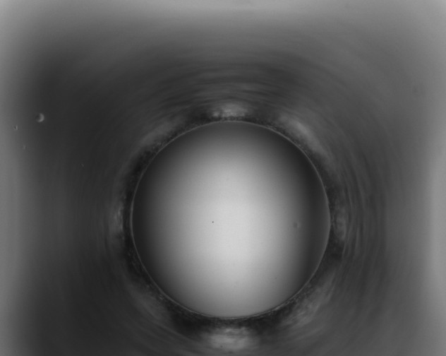 X0000088400543200705291431