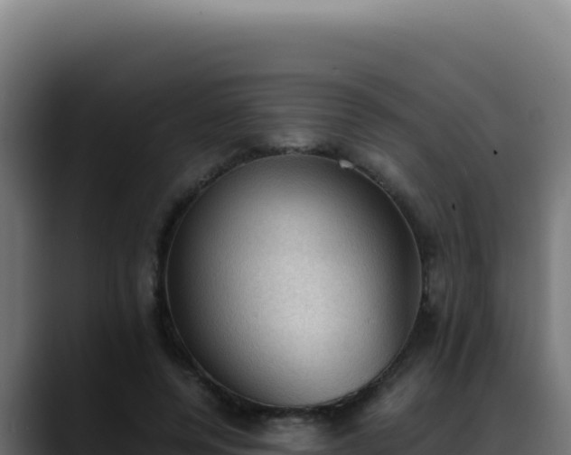 X0000088400544200705291431