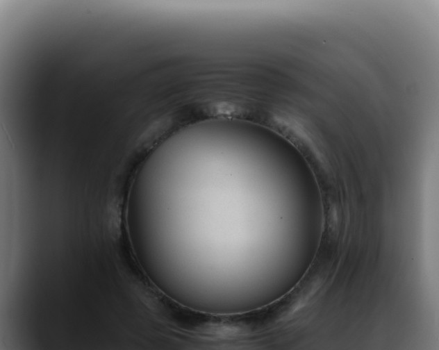 X0000088400545200705291431