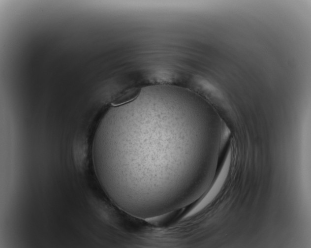 X0000088400548200705291431