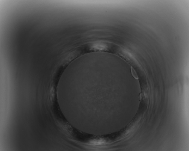 X0000088400551200705291431