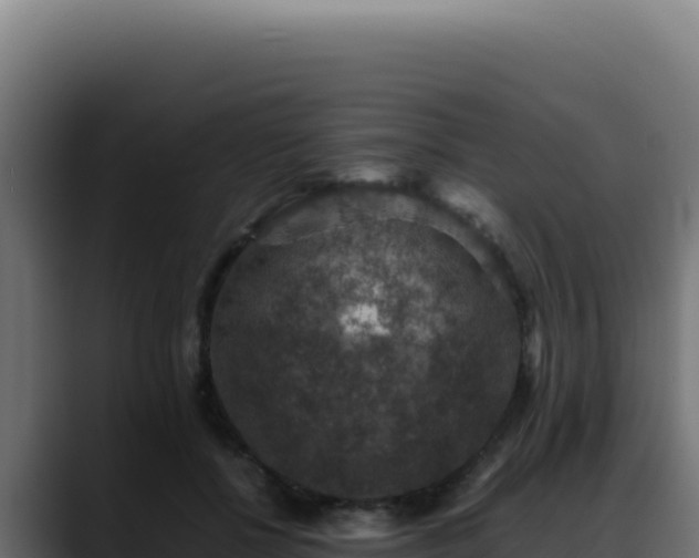 X0000088400552200705291431