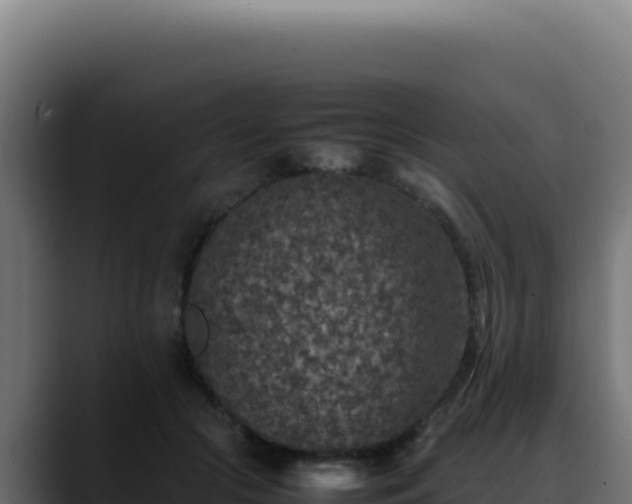 X0000088400553200705291431