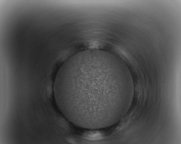 X0000088400554200705291431