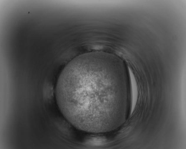 X0000088400555200705291431