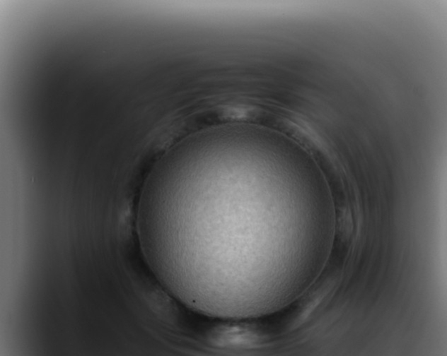 X0000088400557200705291431