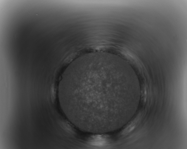 X0000088400558200705291431