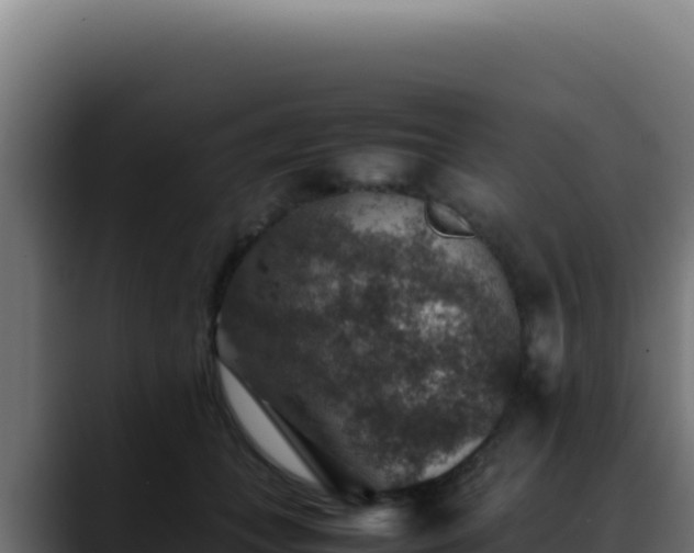 X0000088400559200705291431