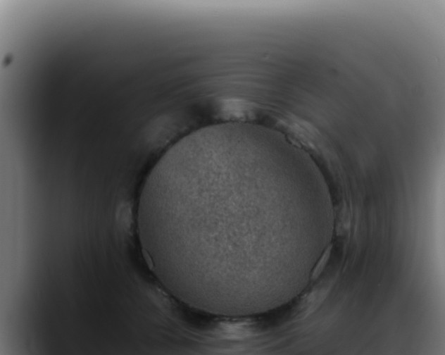 X0000088400560200705291431