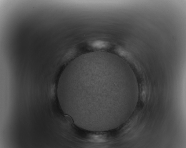 X0000088400563200705291431