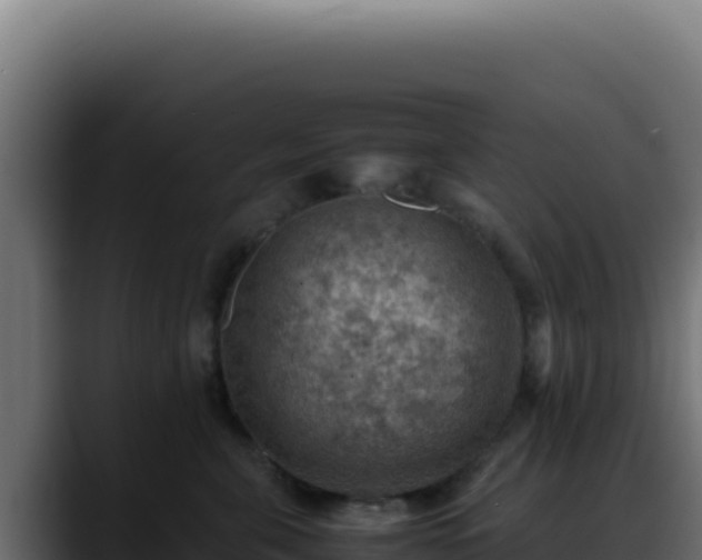 X0000088400571200705291431