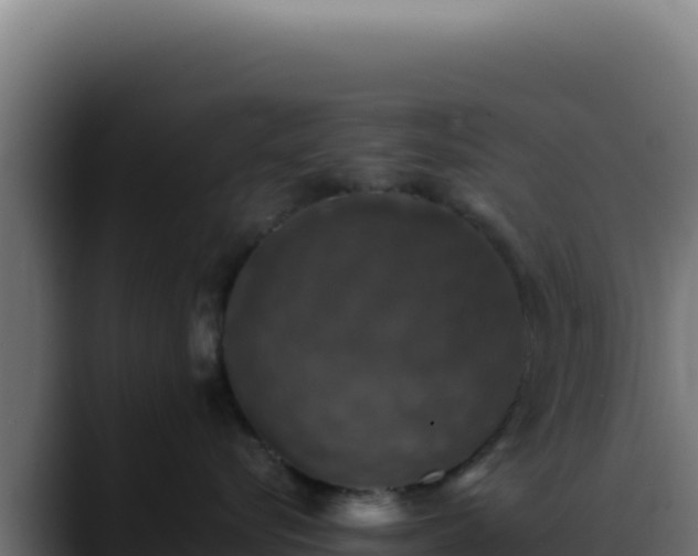 X0000088400576200705291431