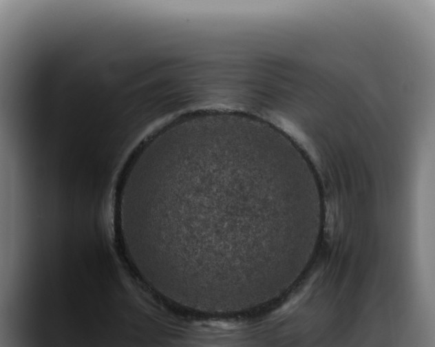 X0000088400580200705291430