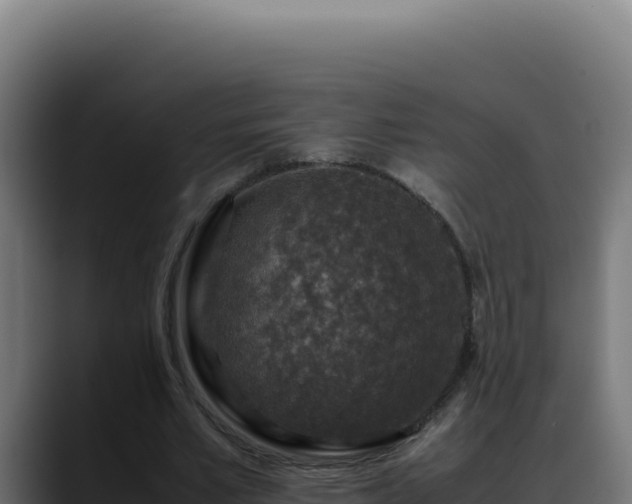 X0000088400581200705291430