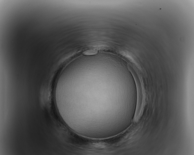 X0000088400583200705291430