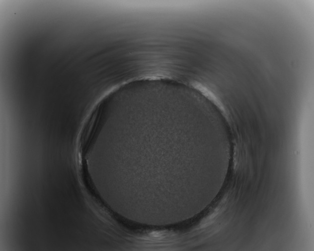 X0000088400584200705291430