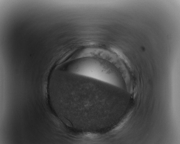 X0000088400585200705291430