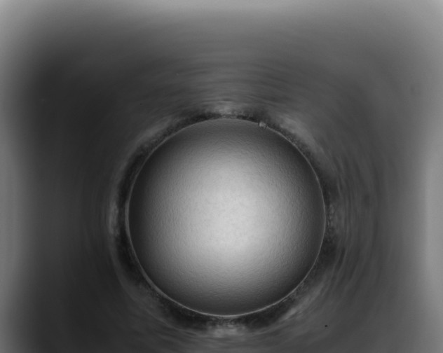 X0000088400587200705291430