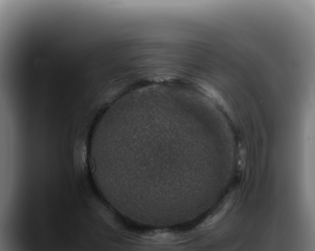 X0000088400589200705291430