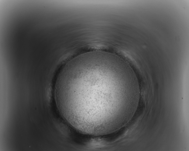 X0000088400591200705291430