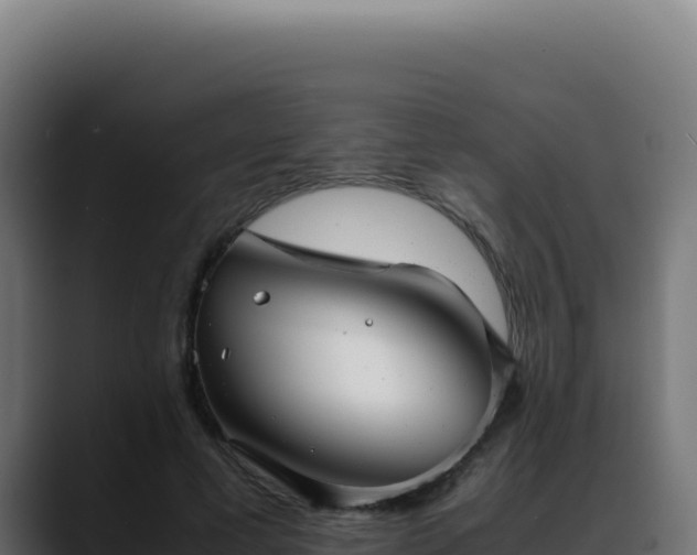 X0000088400593200705291430